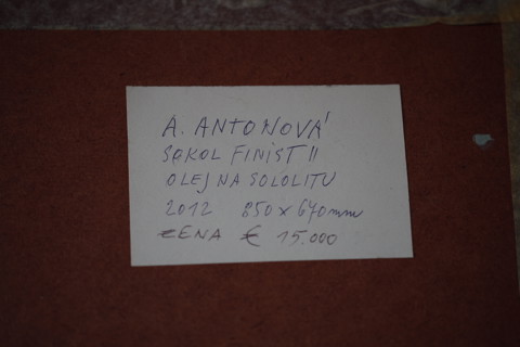 A. Antonová - Sokol Finist II 2012 - 7