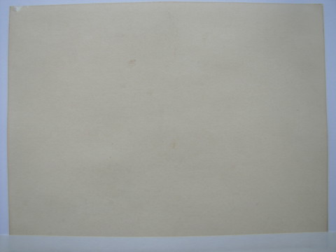 Pablo Picasso - Nude Woman - 4